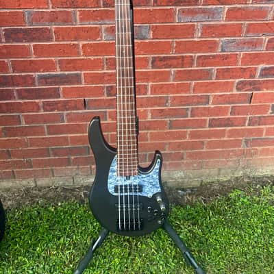 Swan Alpha Classic 5 String Bass image 2