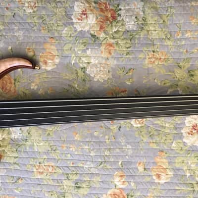 Alembic Orion Fretless 5-String image 9