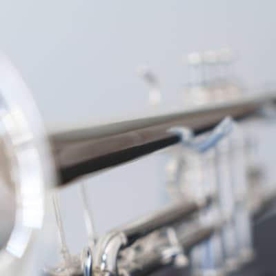 Yamaha YTR-8335IIGS Xeno Bb Trumpet with Gold Brass Bell (SN 5503xx) image 16