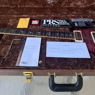 MINT-MINT-MINT PRS EXPERIENCE PRIVATE STOCK, CUSTOM 22, 2013 - ULTRA VIOLET image 13