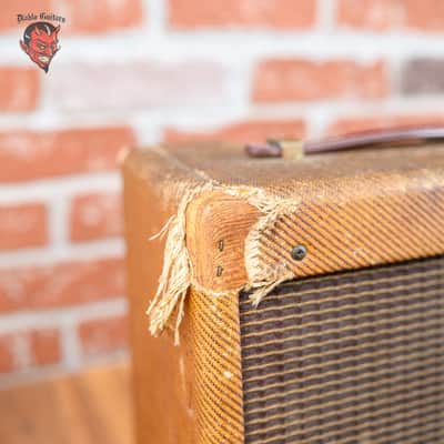 Fender Champ 5F1 Narrow Panel 5-Watt 1x8" Guitar Combo 1963/1964 - Tweed image 14