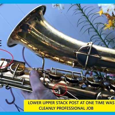 MAKE OFFER DUBBED "PAN AND PERKS" LYON AND HEALY TENOR SAXOPHONE ULTRA RARE BURNISHED GOLD PLATED ARTIST MULTI PORTRAITS TOP FINISH #6 SPECIAL ORDERED ORIGINAL MPC image 17
