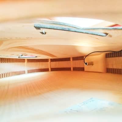 Emanuele Faggion Calliope 17" Archtop guitar massive wood in the style of Monteleone Benedetto ... image 16