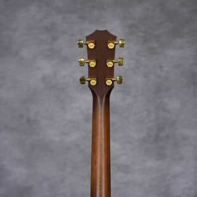 Taylor 50th Anniversary 314ce LTD 2024 - Shaded Edgeburst image 7