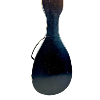 C.A. Kisslinger Decorated Curved-Ribs Mandolin, 1901 image 18