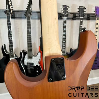 ESP LTD SN-1000 Evertune Koa Electric Guitar-Natural Satin image 13