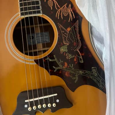 Epiphone.  master pro Ft120 master bild. 2022 - Natural image 2
