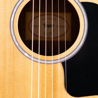 Taylor 212ce Plus Grand Concert Acoustic/Electric Guitar with Aerocase image 12