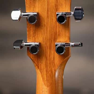 Taylor 117e Grand Pacific Acoustic/Electric Guitar with Gig Bag image 6