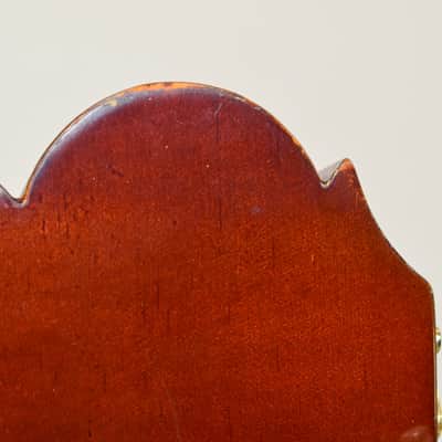 D. Catala Guitarras GO-50 Classical Acoustic Guitar w/ Hardshell Case image 12