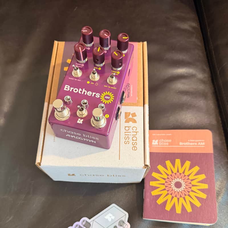 Chase Bliss Audio Brothers AM 2025 - Present - Purple