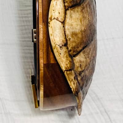 Turtle shell tenor banjo image 5