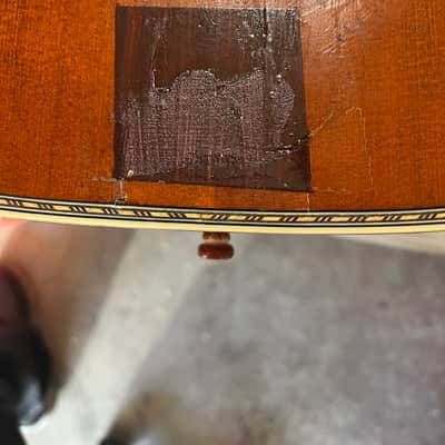 Washburn R319SWKK Solid Spruce/Trembesi Parlor Guitar 2016 - Natural image 7