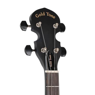 Gold Tone AC-4IT Acoustic Composite Nato Neck 4-String Openback Irish Tenor Banjo w/Gig Bag image 9