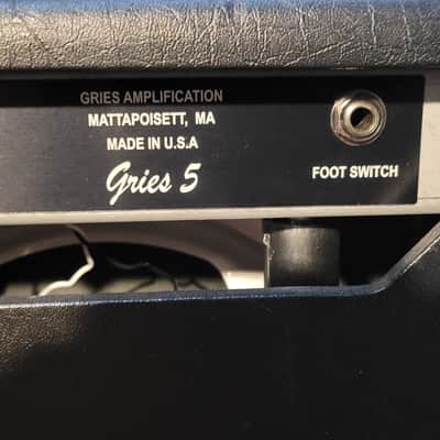 Gries 5 boutique guitar combo image 6
