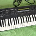 Roland XP-30 61-Key 64-Voice EXPANDED Synth w Extra Card Installed!