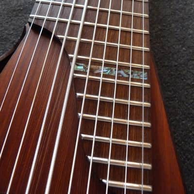 Dragonfly DF10-A (Acoustic/Electric Chapman Stick) image 6