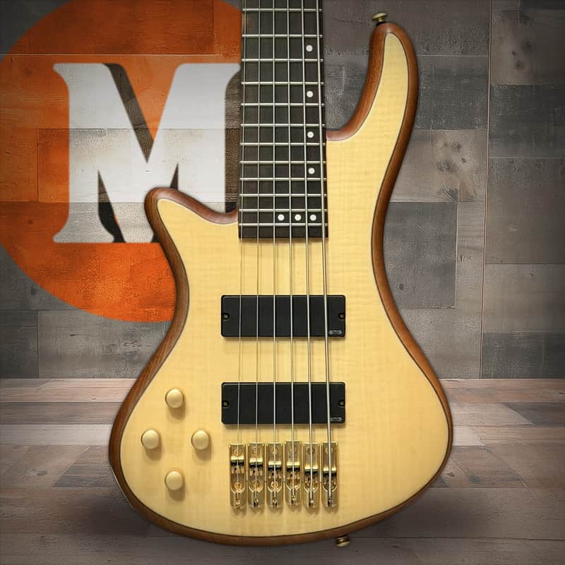 Schecter Stiletto Custom-6