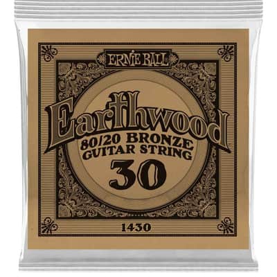 Ernie Ball P01430 .030 Earthwood 80/20 Bronze Acoustic Guitar String