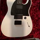 Fender Jim Root Artist Series Signature Telecaster 2008 - Present - Flat White