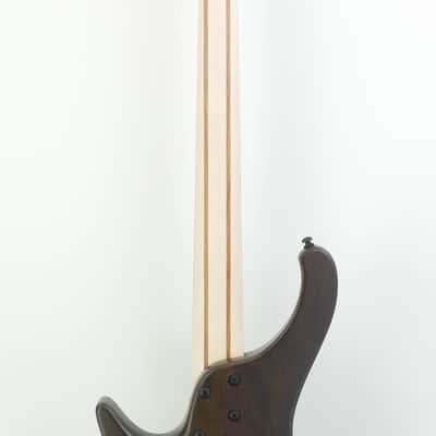 Ibanez EHB600WNF EHB Ergonomic Headless Bass Walnut Flat image 7
