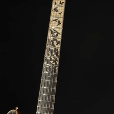 Paul Reed Smith Private Stock #5964 Limited Edition DGT Semi-Hollow with F-Holes - Birds of a Feather - April Guitar image 7