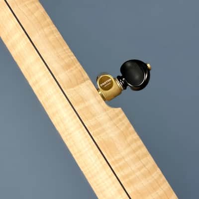 Pisgah Whyte Laydie - 12" Curly Maple 5-String Openback S-Scoop image 20