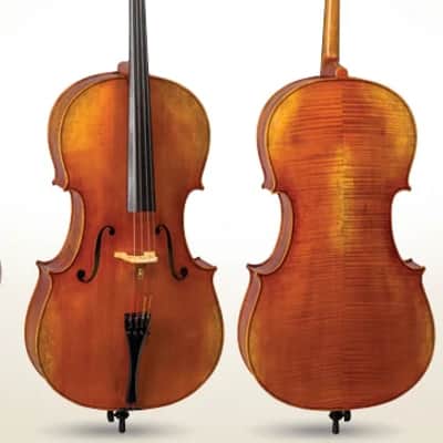 D Z Strad Model 900 handmade 4/4 Cello (4/4 - Full Size) image 1