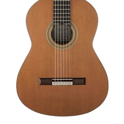 Moreno Nylon String Guitar #45-2020 image 1
