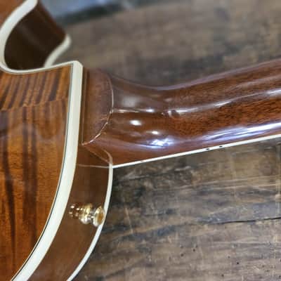 Gibson Les Paul Supreme 2003 - 2013 - Root Beer image 12