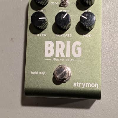 Strymon Brig dBucket Delay 2023 - Present - Green