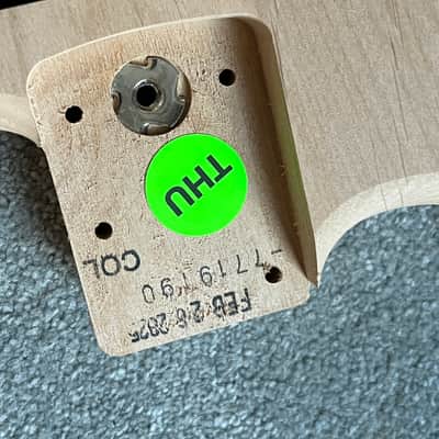 Fender American Professional Stratocaster guitar body alder unfinished image 2