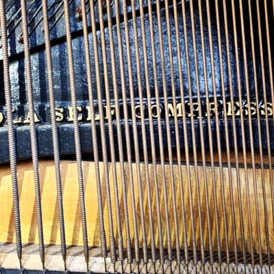 Steinway&Sons Model V 1924 image 4