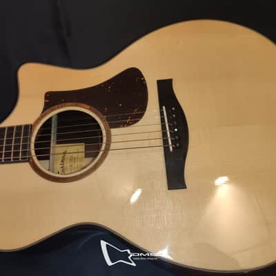 Eastman AC722CE 2020 image 2