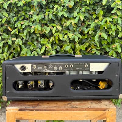 Fender Dual Showman 1968 image 4