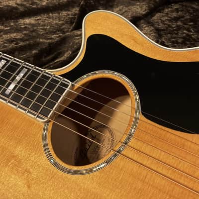 Guild F65ce Westerly Rhode Island Limited Top of the Line Model image 16