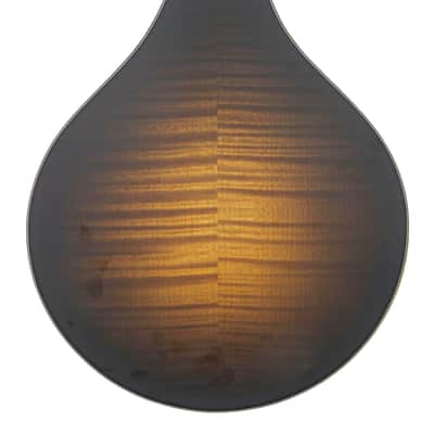 Bourgeois M5-A SB Mandolin #M2512108 image 6