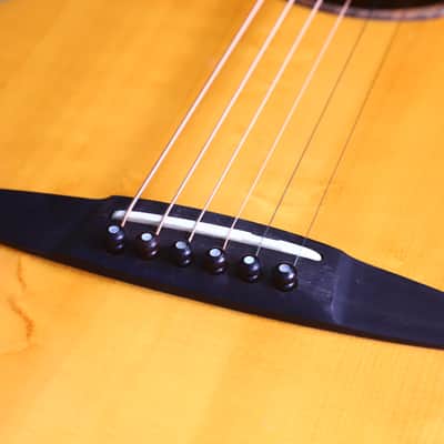 Schertler SM Acoustic Guitar – A Rare Gem in Electro-Acoustic Innovation - check video! image 13