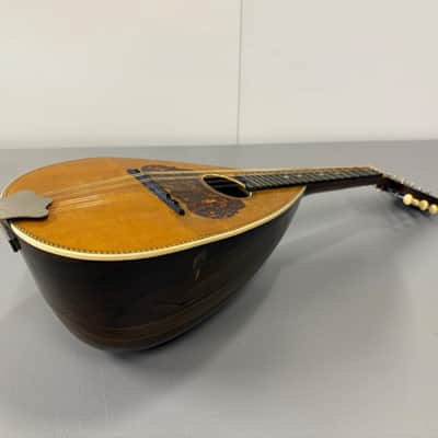 Washburn Bowl-Back Mandolin with Original Case, 1890s image 5