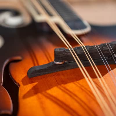 Washburn M3SEBRK Americana Series Solid Spruce Top Maple Neck F-Style 8-String Acoustic-Electric Mandolin w/Padded Gig Bag image 7