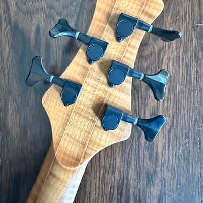 Maruszczyk Frog Omega 5A Fretless 2023 - Transparent 2 Tone Turquoise Blue image 10