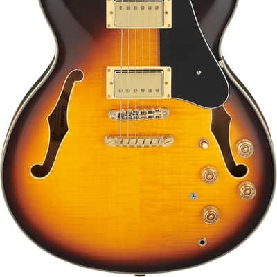Ibanez JSM10EM - Two-tone Burst image 9