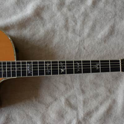 Taylor DMSM 914ce Dave Matthews Signature image 7