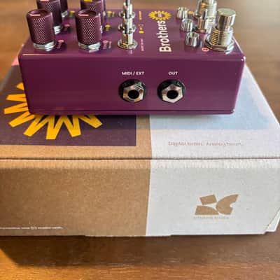 Chase Bliss Audio Brothers AM 2025 - Present - Various image 6