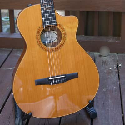 Taylor Jason Mraz Signature Model (JMSM) image 3