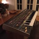 Roland Jupiter 6 (Europa Mod+Magnet Set)