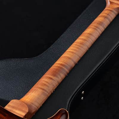 Paul Reed Smith (PRS) 2020 Wood Library Hollowbody II Piezo 10-Top Black Gold Burst Pattern Neck [20 0307130] (05/05) image 11