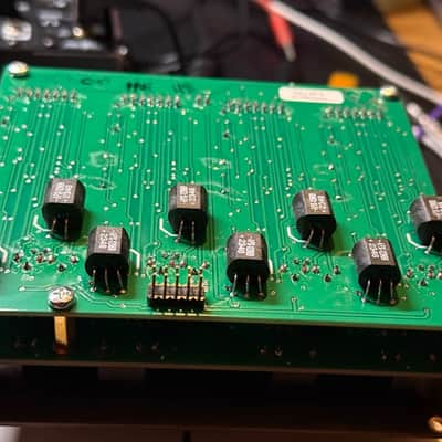 Make Noise QMMG Module 2018 - Present - Black & Gold image 5