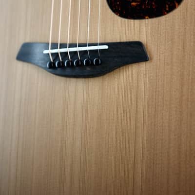 Furch Blue Master Choice GC-CM A SPE image 4