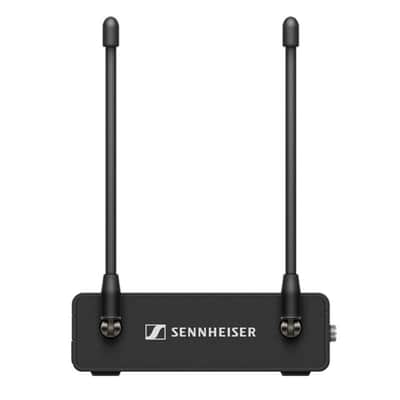 Sennheiser EW-DP ENG Set (Q1-6) Camera-Mount Digital Wireless Microphone System Bundle w/Pig Hog PHM10 8mm Mic Cable, 4-pack Blucoil AA Batteries and Liquid Audio Polishing Cloth image 8